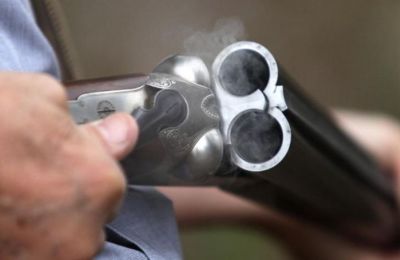 Ο νέος νόμος στοχεύει στον εξορθολογισμό και στην ενίσχυση του πλαισίου αδειοδότησης, με απώτερο σκοπό τη διασφάλιση της δημόσιας τάξης και ασφάλειας