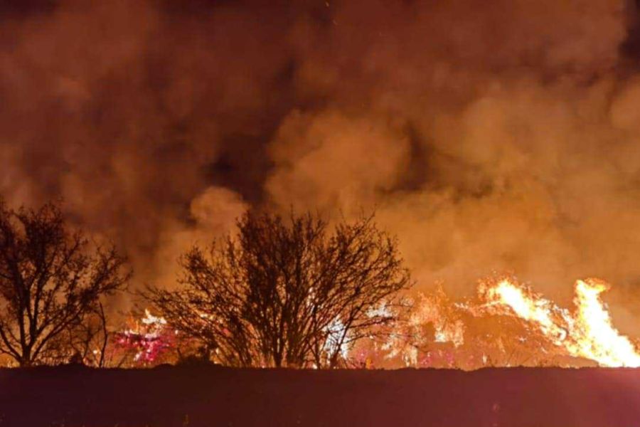 Πυρκαγιά στον Κοτσιάτη (ΒΙΝΤΕΟ)