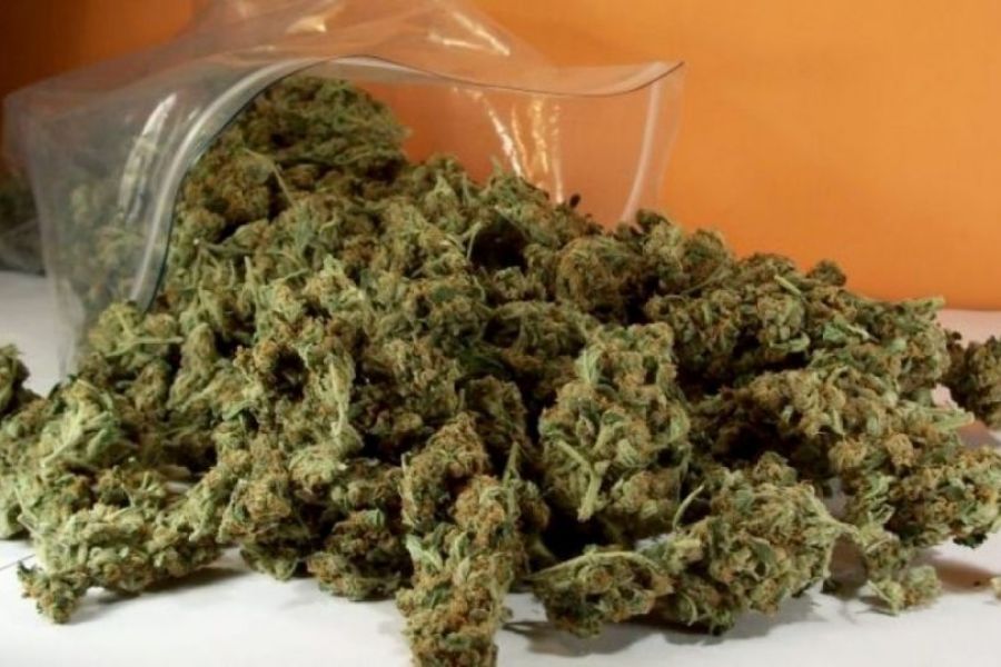 Ήρθε στην Κύπρο φορτωμένη με 22kg κάνναβης – 12 χρόνια στο κελί