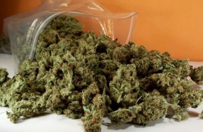 Ήρθε στην Κύπρο φορτωμένη με 22kg κάνναβης - 12 χρόνια στο κελί