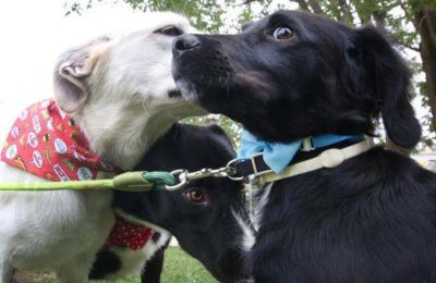 Φωτογραφία Αρχείου