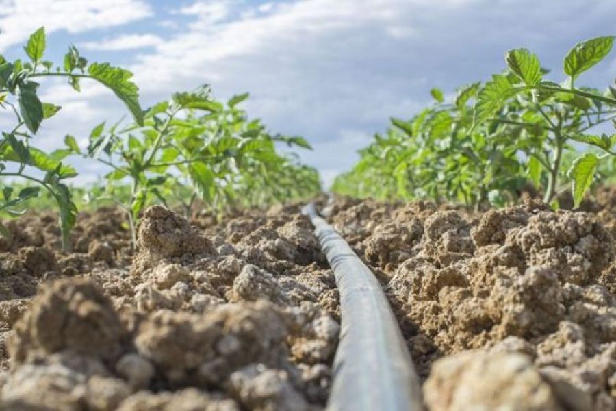 Χωρίς έλεγχο δύο εταιρείες συνεχίζουν να υπεραντλούν νερό ανενόχλητες
