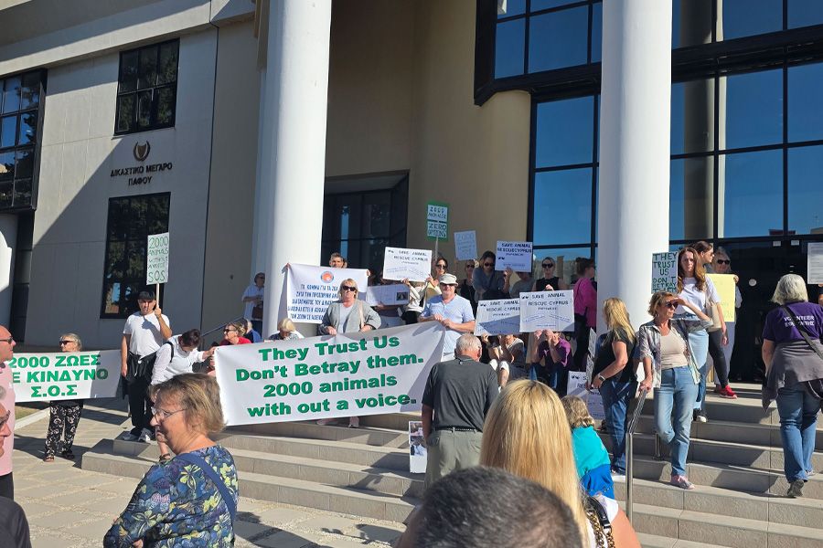 Διαμαρτυρία στην Πάφο για την απομάκρυνση του Καταφυγίου Ζώων