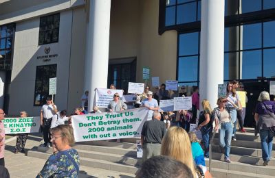 «Το να βλέπουμε τώρα αυτά τα ζώα να απομακρύνονται χωρίς σαφές σχέδιο για την ευημερία ή το μέλλον τους είναι καταστροφικό»