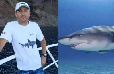 Η απίστευτη ιστορία του ανθρώπου που επέζησε από 29 δαγκώματα καρχαρία