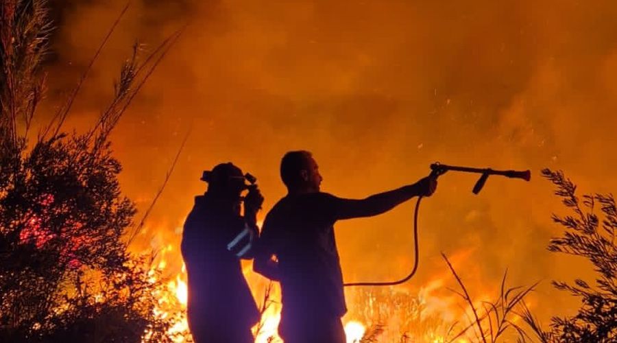 Φωτογραφία από ΜΚΔ