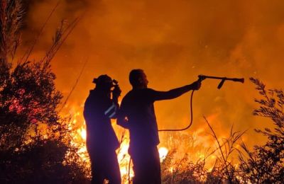 Φωτογραφία από ΜΚΔ