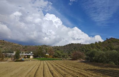 Αυτή η εβδομάδα θα είναι άνομβρη, οι θερμοκρασίες θα φτάσουν τους 28-29 βαθμούς ενώ αναμένεται σκόνη, σύμφωνα με τον μετεωρολογικό λειτουργό, Ανδρέα Χρυσάνθου (Φωτό: Καιρόφιλοι Κύπρου)