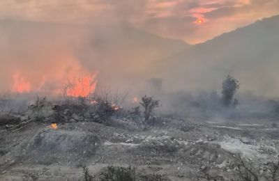 Φωτογραφία Αρχείου
