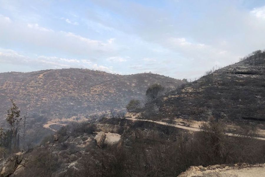 Πυρκαγιά στην Πάφο: Γιατί αποδεσμεύτηκαν τα ελικόπτερα πυρόσβεσης