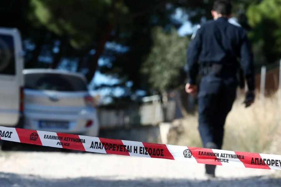 «Ο Νίκος με τον Δημήτρη σκοτώνονταν συνέχεια… Έπαιζαν ξύλο»