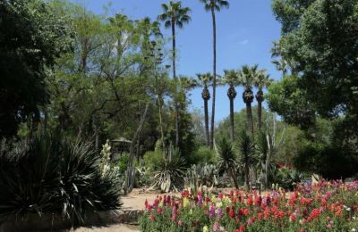 Χίλια και πλέον μελισσοκομικά δέντρα