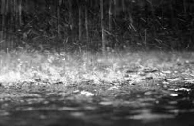 Εργάζονται 5 συνεργεία από τους Πυροσβεστικούς Σταθμούς Λευκωσίας