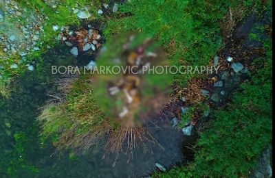 Bora Markovic Photography 