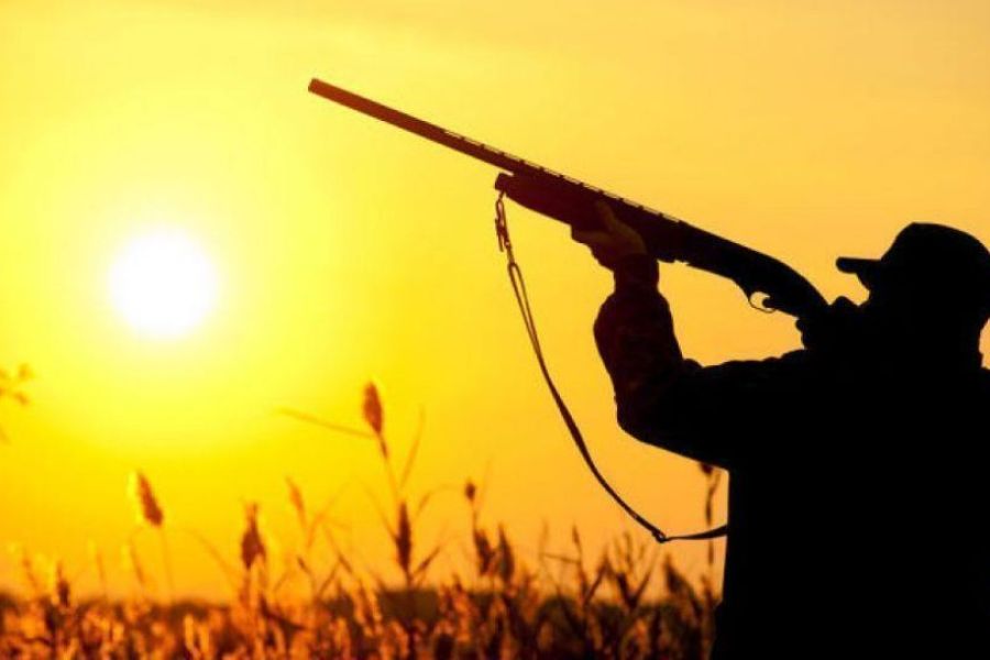 Κυνηγούσαν παράνομα και συγκρούστηκαν με αυτοκίνητο της Θήρας