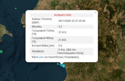 Σύμφωνα με την Αυτόματη Λύση του Γεωδυναμικού Ινστιτούτου το επίκεντρο της δόνησης εντοπίστηκε 5 χιλιόμετρα δυτικά βορειοδυτικά του Γιαννιτσοχωρίου και το εστιακό βάθος υπολογίστηκε στα 5 χλμ.