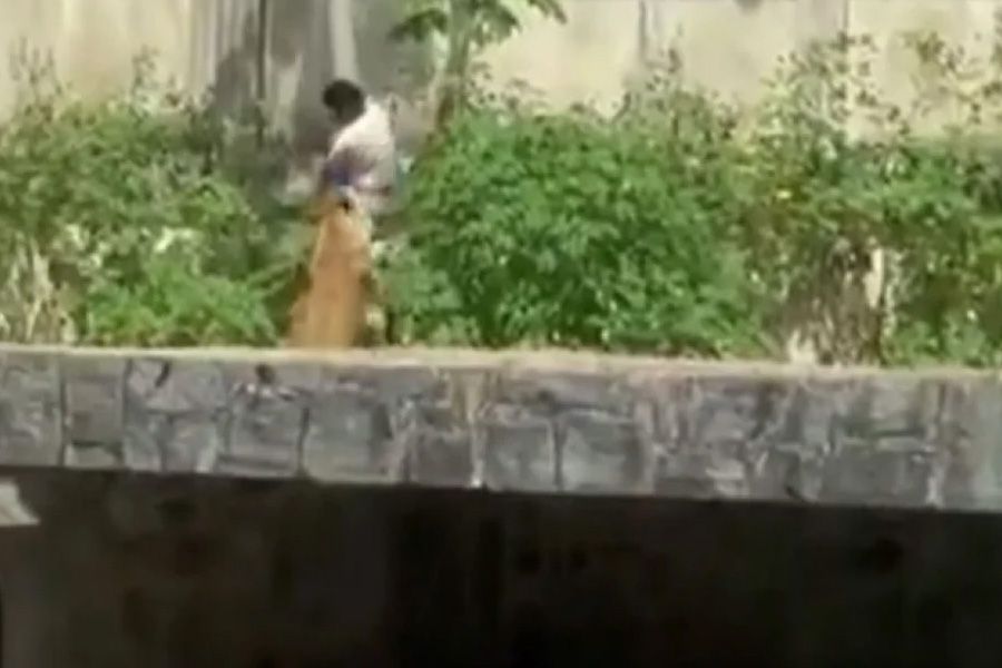 Νεαρός μπήκε σε κλουβί λέαινας και τον κατασπάραξε