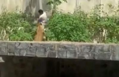 Νεαρός μπήκε σε κλουβί λέαινας και τον κατασπάραξε 