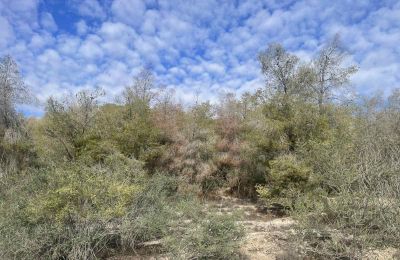 Η φύση θα επιβιώσει, παρά τα οποιαδήποτε προβλήματα 