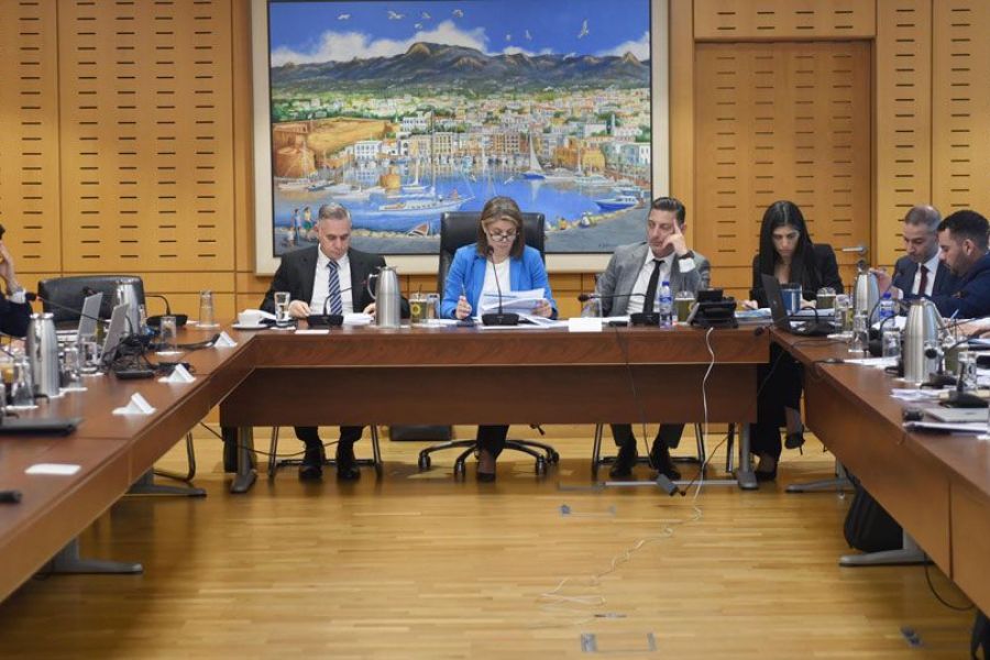 Επ. Οικονομικών: Προβληματισμοί για τις ημέρες τηλεργασίας στο δημόσιο