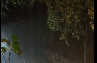 ΚΑΙΡΟΦΙΛΟΙ ΚΥΠΡΟΥ