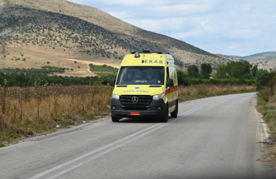 Νεκρό παιδί 18 μηνών μετά από επίθεση του σκύλου της οικογένειας