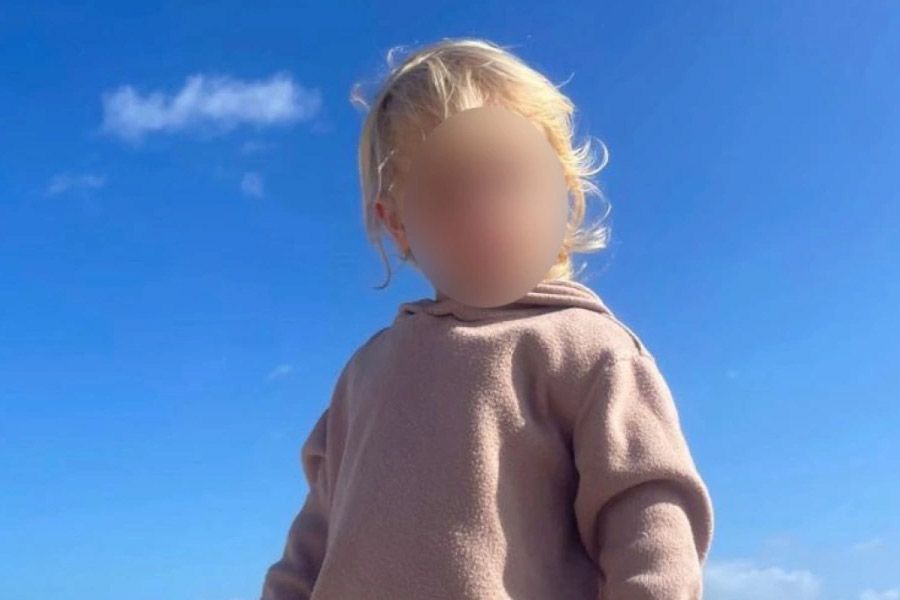 Μπροστά στα μάτια της αδερφής του κατασπάραξε το πίτμπουλ τον 2χρονο