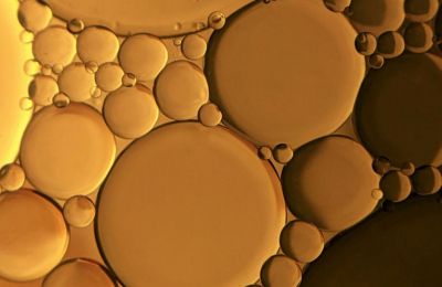 Ποιο φυτικό έλαιο είναι το καλύτερο & ποιο το χειρότερο για την καρδιά