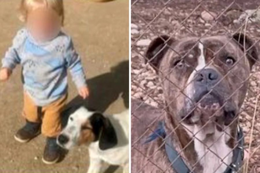 Ψυχοκοινωνική υποστήριξη στη σχολική κοινότητα μετά την επίθεση