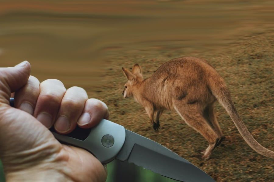 Τεμαχισμός καγκουρό – Ποινή φυλάκισης 14 μηνών στον 37χρονο