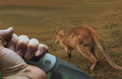 Ο καταδικασθείς διέμενε παράνομα στο έδαφος της Κυπριακής Δημοκρατίας