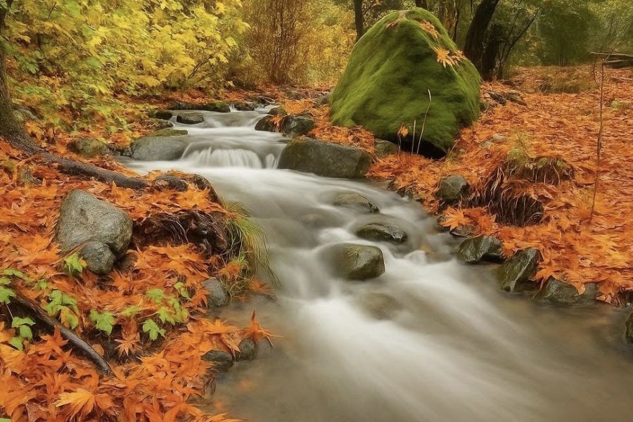Η φύση και η ομορφιά της: Το ρυάκι που ρέει στο χωριό Φοινί