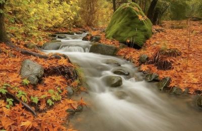 Αν την εξερευνήσεις θα ανακαλύψεις θησαυρούς...