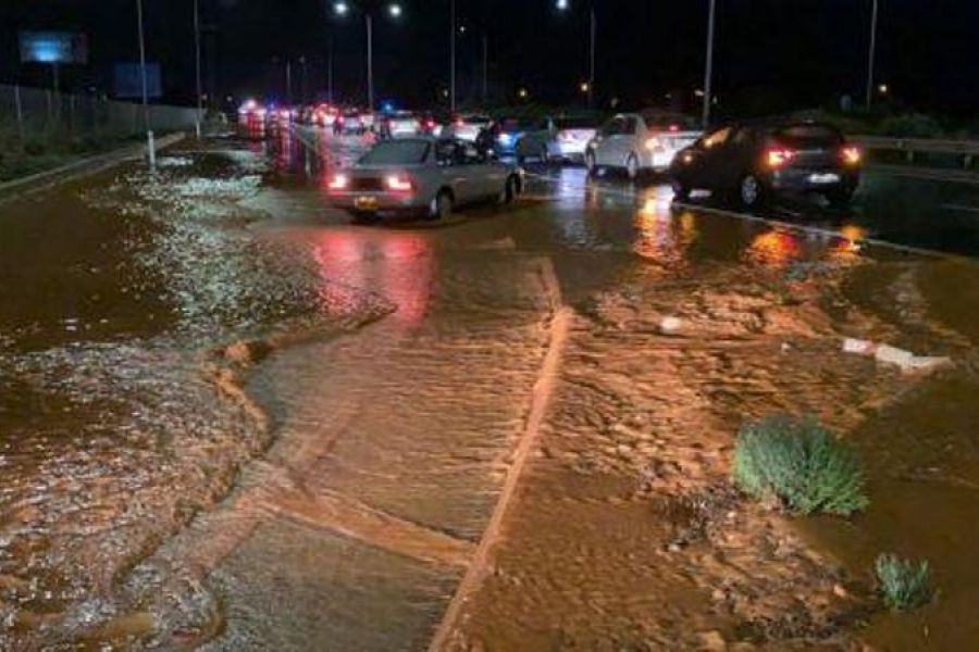 Πλημμύρισαν υποστατικά και αποκόπηκαν δέντρα