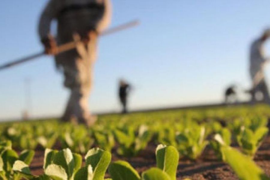Έκτακτη κρατική βοήθεια στους γεωργούς