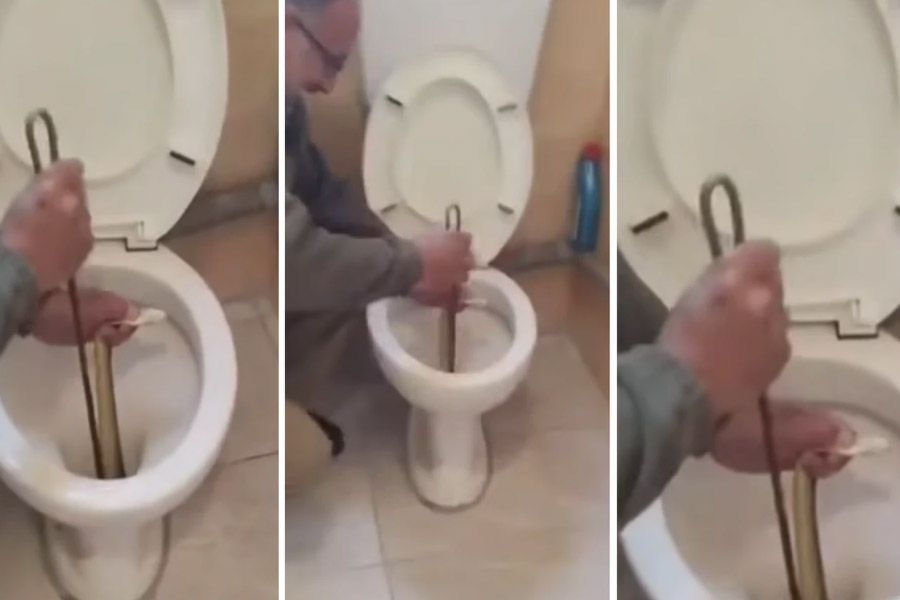 Βρήκε στη λεκάνη φίδι που άγγιζε τα δυο μέτρα