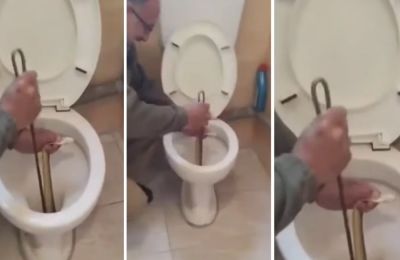 Βρήκε στη λεκάνη φίδι που άγγιζε τα δυο μέτρα - «Θα σε φάει...»