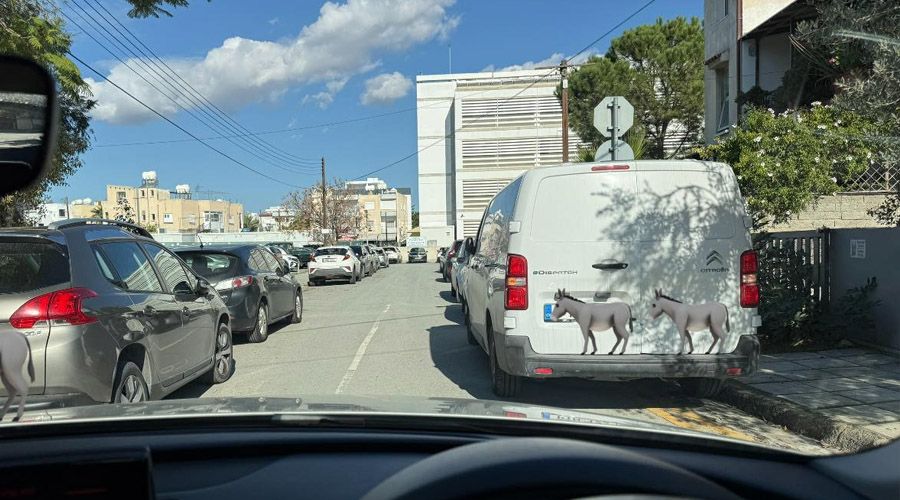 Φωτογραφία από ΜΚΔ