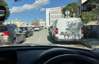 Φωτογραφία από ΜΚΔ