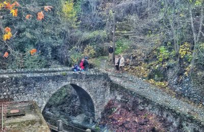 Το μαγευτικό σκηνικό 
