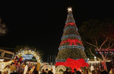 Ζήστε τη μαγεία των γιορτών σε Παραλίμνι και Δερύνεια