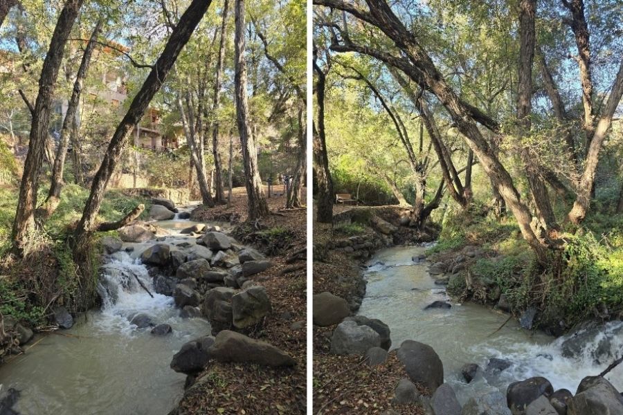 «Ξύπνησε» παραπόταμος σε αγαπημένο μονοπάτι της φύσης