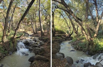 Το μονοπάτι της Βατερής στην Κακοπετριά με το τρεχούμενο νερό και τις πανέμορφες εικόνες από τη φύση