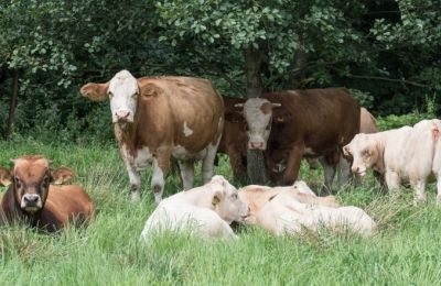 Οι κτηνοτρόφοι οφείλουν να εφαρμόζουν μέτρα 