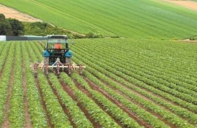 Μέσω διαβούλευσης με τον αγροτικό κόσμο, υποβολής στοιχείων προς εξέταση πριν τη διαμόρφωση της τελικής απόφασης.