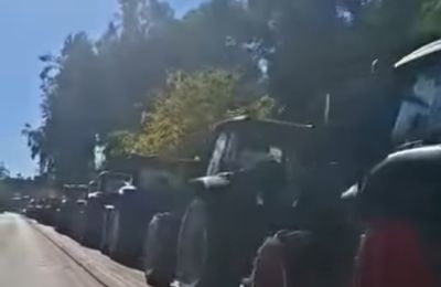 Συμμετέχουν στην πανευρωπαϊκή αγροτική κινητοποίηση