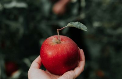 Δεκέμβριος: Τα εποχιακά φρούτα και λαχανικά που αξίζει να τρώτε