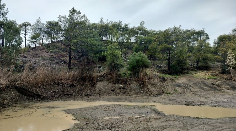 Περισσότερες τέτοιες εικόνες και ευεργετικές βροχές χρειάζεται η κυπριακή γη (Φωτογραφία: Καιρόφιλοι Κύπρου)