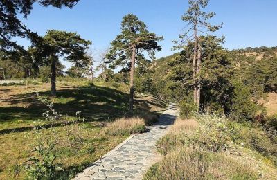 Φωτογραφία Αρχείου