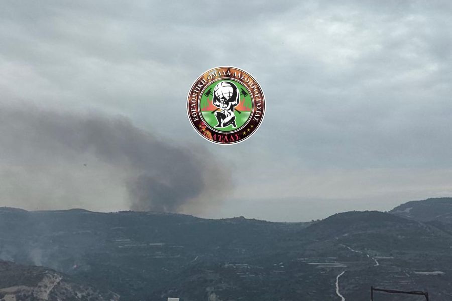 Πυρκαγιά στην περιοχή Δορά (ΦΩΤΟ)